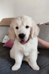 Hugo 01