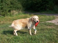 4.roky 09