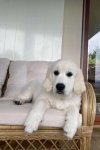 Maggie 06