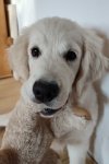 Hugo 08