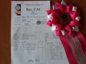 Drago res. CAC