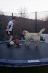 Cooper 22