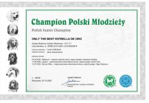 Junior šampion