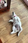 Maggie 01