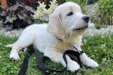 Charlie 03