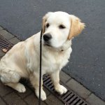 IMG-20161105-WA0000