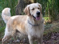 4.roky 04