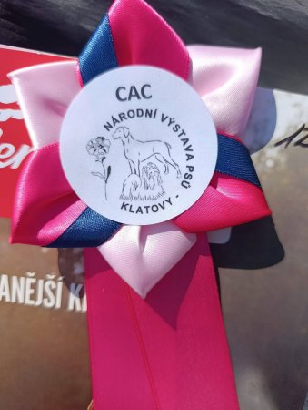 Klatovy 04
