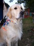 4.roky 07