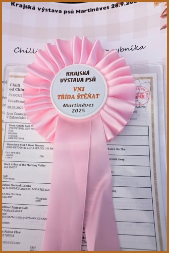 Chilli Martineves