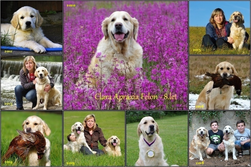 2012 postcard