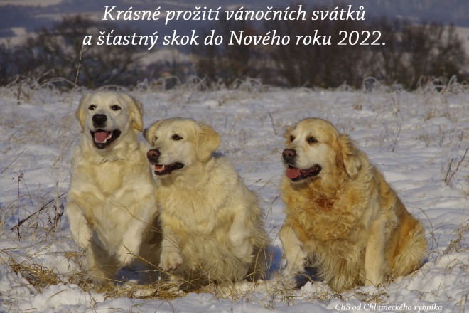 mala 202119
