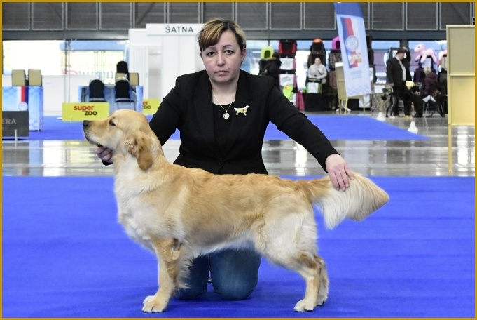 MVP Brno 2025